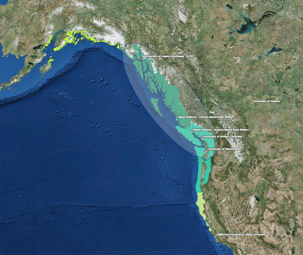 rainforest network map