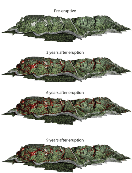 Report_CRMRN_MOHR (4)